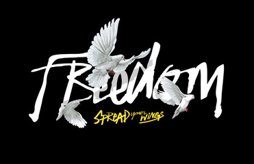freedom calligraphy slogan with flying pigeons vector illustration hand drawn - not auto trace © tsuponk