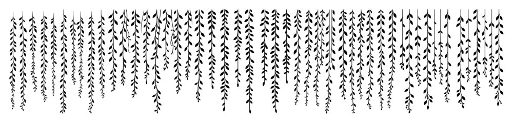 hanging willow branches botanical silhouette set © Aisha Kudorova