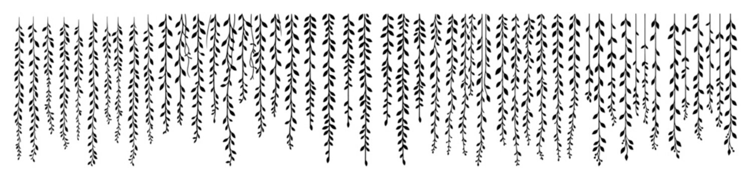 hanging willow branches botanical silhouette set