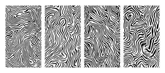 high detail zebra texture pattern pack © Aisha Kudorova