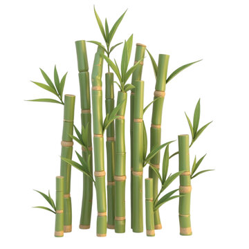 Realistic 3D rendered bamboo plants with green leaves transparent background nature design element