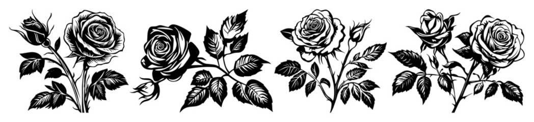 realistic rose flower vector illustrations