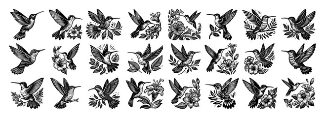 hummingbird and floral composition vector set