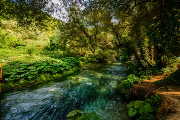 Fototapeta premium Blue Eye Lake Park in Albania