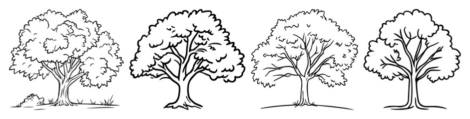 realistic deciduous trees hand drawn vector set
