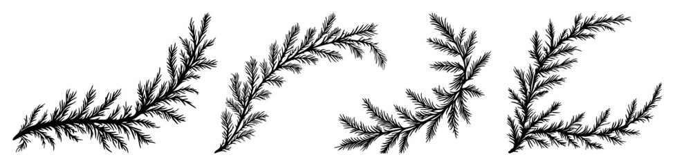 hand drawn pine branches and twigs set