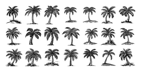 collection of palm tree sketches in various styles