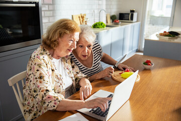 Senior lesbian couple cooking healthy food together while following a recipe on laptop in modern kitchen