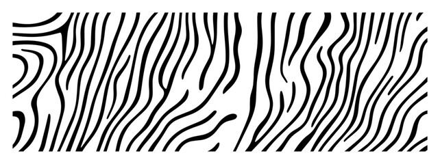 zebra fur texture seamless pattern in black and white © Aisha Kudorova
