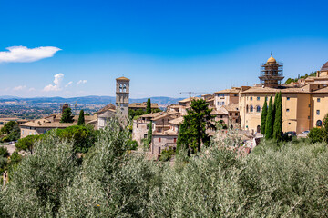 A scenic view of the Umbrian valley as seen from the hills of Assisi, with olive trees in the foreground and farmlands stretching into the distance