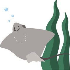 바다생물 가오리