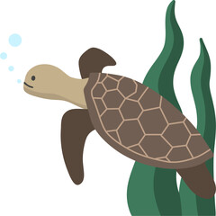 바다생물 거북이