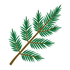 Fir branch clipart graphic vector
