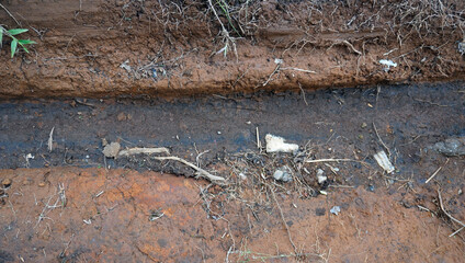 Freshly Rained Earth: Rich, dark soil glistening after a fresh rain. Perfect for nature, gardening, and environmental themes, showcasing renewal