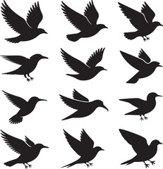 Bird Silhouettes Bundle – 10 Flying Birds in Side and Top Views – Eagle, Dove, Owl, Hawk, and More – Black on White Vector Set