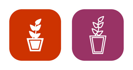 House Plants Icon Design