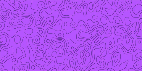 Geographic texture rendered through smooth curves

