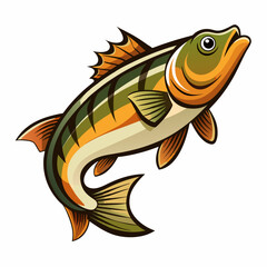 Detailed vector illustration of a bass fish on a clean white background suitable for various design