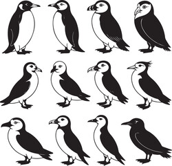 Naklejka premium Cold Climate Bird Silhouette Vector Bundle – Emperor Penguin, Puffin, Snowy Owl, Arctic Tern, Albatross & More