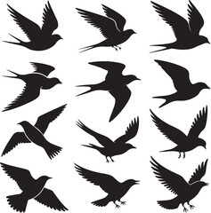 Bird Silhouette Bundle – 10 Flying Bird Vectors in Black & White – Wings Up, Down, Gliding, Landing, Flapping & Diving