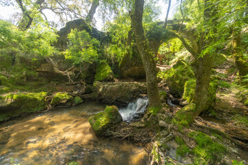 Small waterfall flowing into river in the tapada nacional de mafra, portugal