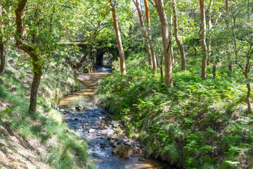 Small river flowing under old bridge in tapada nacional de mafra, portugal