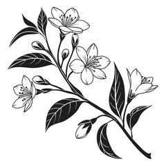Cherry blossoms branch in black and white with intricate floral and foliage details