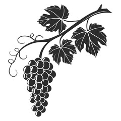 Obraz premium Black silhouette depicts a grape bunch hanging from a branch with leaves