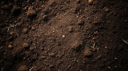 Close-up image of rich, dark soil with small organic particles and natural texture, suitable for gardening or agriculture.