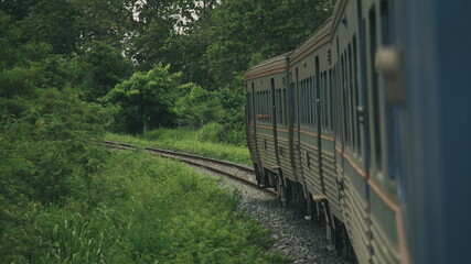 thailand  train on the railway in forest