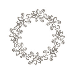 Vector engraved border frame of Feijoa plant for text. Hand drawn background label with branch and fruits of tropical berry edible feijoa. Food, dessert. Design element for wrapping, sign, card, logo