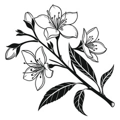 Detailed floral branch reveals blossoms and leaves in striking monochrome outline art