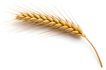 Golden Wheat Ear Isolated on White Background Perfect for Agriculture Harvest Bread Food Design Elements