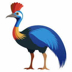 Cassowary Illustration on White Background Vector Design of a Flightless Bird from Australia and New Guinea