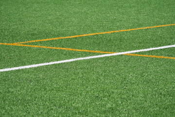 Obraz premium Vibrant green sports field with crisp lines marking the playing area