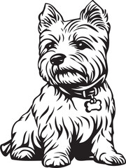 cute West Highland White Terrier dog with collar