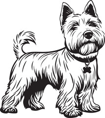 illustration of a West Highland White Terrier dog