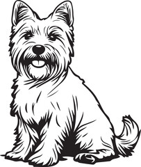 sitting West Highland White Terrier dog