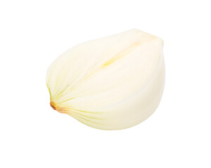onion on white background