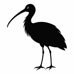 Simple Black Cat Silhouette Illustration on White Background Ideal for Graphic Design and Creative Projects