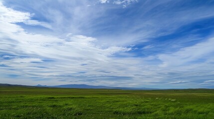 Fototapeta premium Enchanting Scenery of Lush Green Grassland under a Vast Blue Sky with Floating White Clouds: A Serene Natural Tapestry