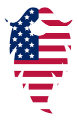 Obraz premium Long mustache with stars and stripes of the USA flag forming a patriotic symbol for Independence Day celebrations, perfect for expressing national pride