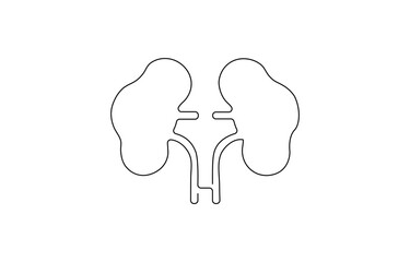 Continuous line drawing of the human organ kidney in one line with,  single line drawing of kidney. editable stroke.
