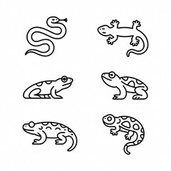 Simple line drawings of reptiles and amphibians