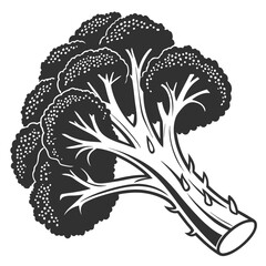 The monochrome broccoli floret with detailed florets and stem creates a visually appealing vegetable image