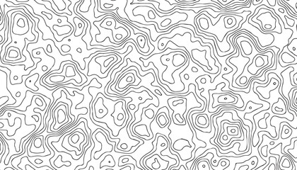 Minimal topographic thin line texture on white background.