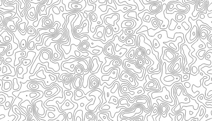White background with abstract topographic thin lines.
