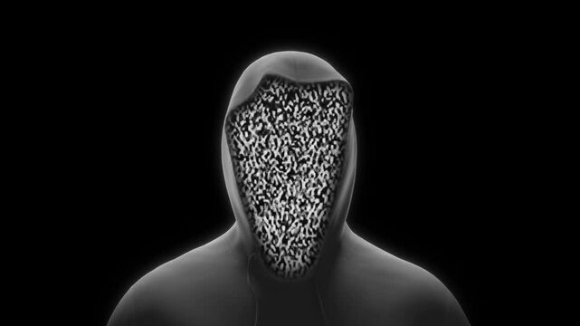 Hacker in a hoodie