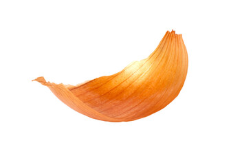 Onion peel