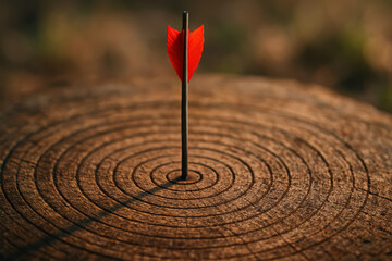Achievement precision is symbolized by a red arrow firmly hitting the center a carved circular target on weathered wood